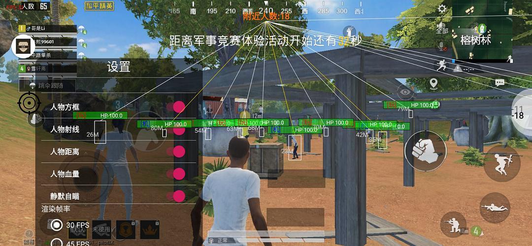 突破游戏界限：探索和平精英辅助工具的神秘世