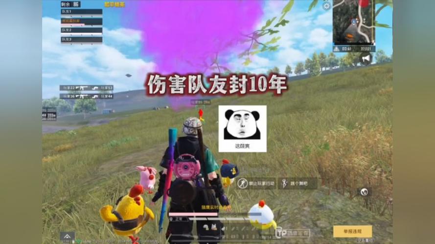 和平精英辅助【保时捷】