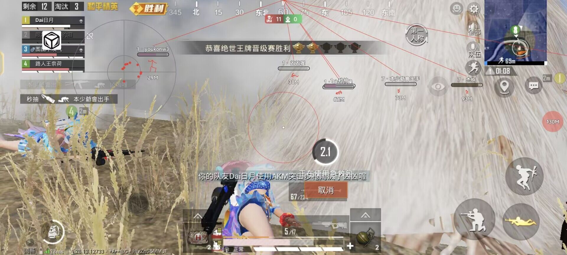 和平精英《牛牛》辅助